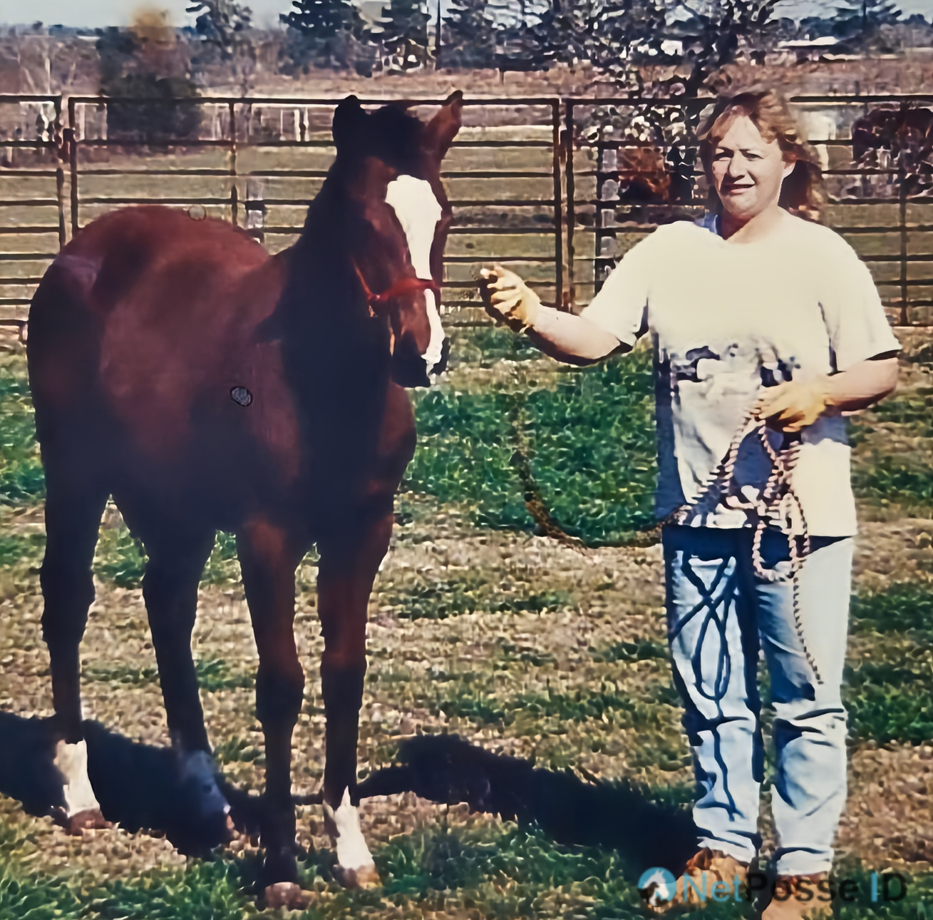 store/pages/2437/candy_6 monthsl-bf.png